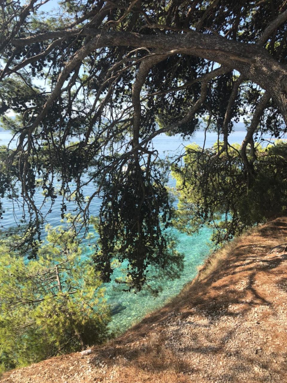 La Mer 1 Bol Luaran gambar